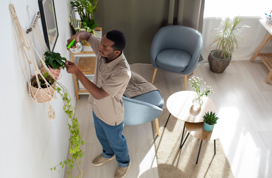 Transform Your Space: Creative Ideas to Renovate Your Home