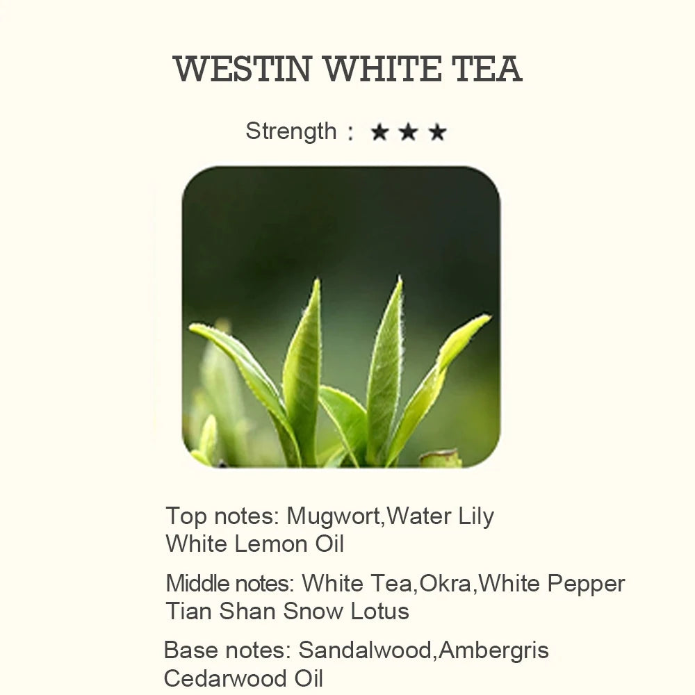 5Ml Hotel Collection Essential Oil Scent Hotel Inspired Aromatherapy Scent Diffuser Oil Perfumes for Essential Oil Diffusers