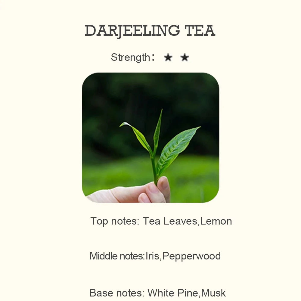 5Ml Hotel Collection Essential Oil Scent Hotel Inspired Aromatherapy Scent Diffuser Oil Perfumes for Essential Oil Diffusers